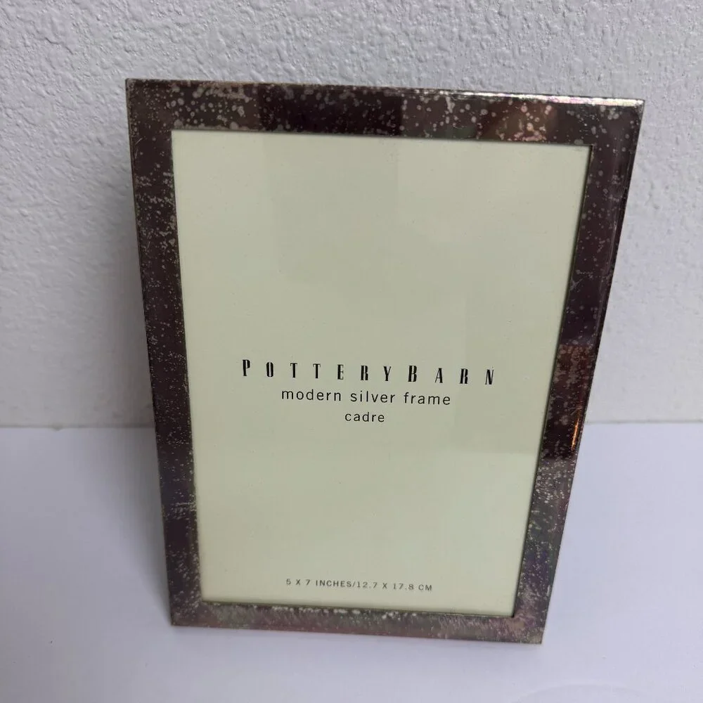 Pottery Barn Silver Stainless Steel Frame 